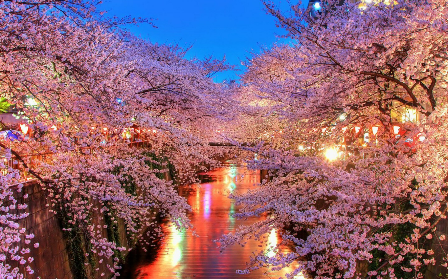 CHƯƠNG TRÌNH TOKYO – HOKKAIDO